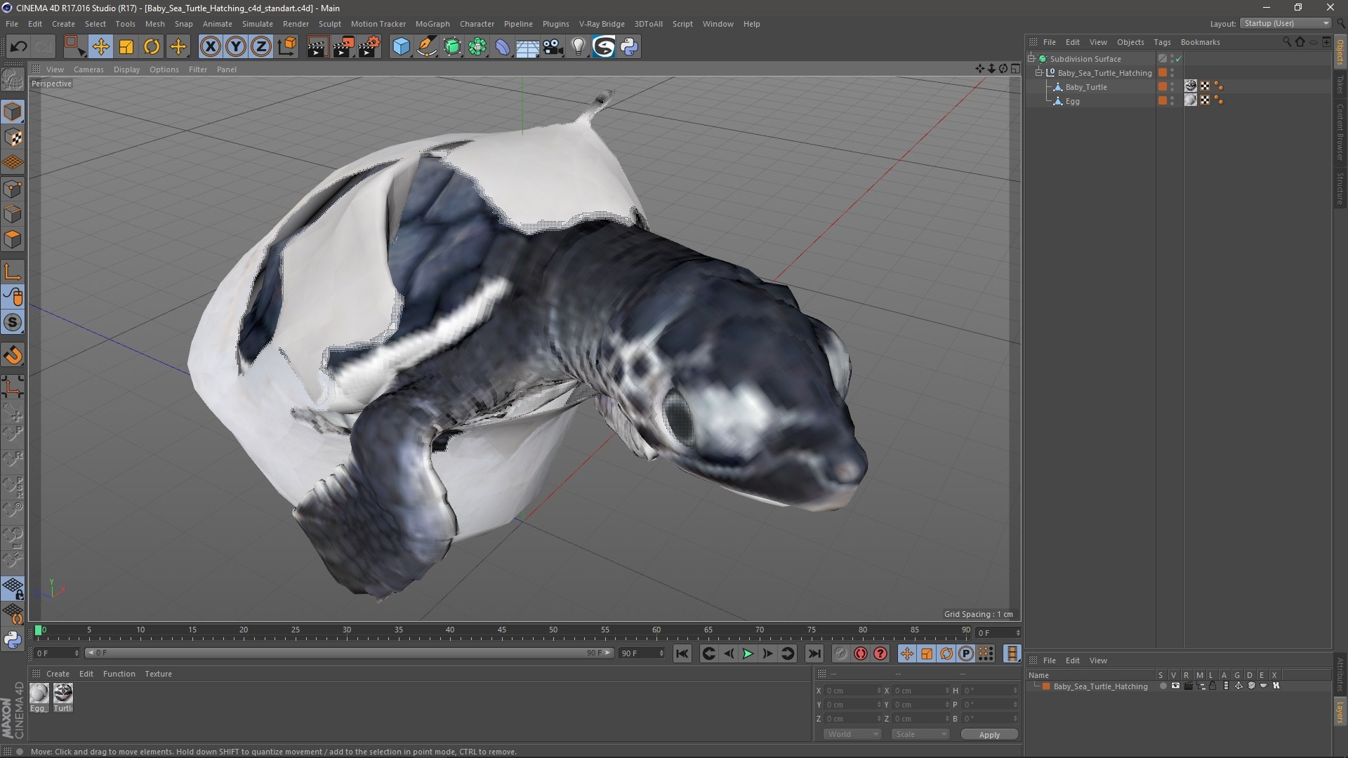 3D Baby Sea Turtle Hatching https://p.turbosquid.com/ts-thumb/bS/P1gEUG/YD/babyseaturtlehatchingvray3dmodel026/jpg/1709922861/1920x1080/fit_q87/fc3e82033ced0e75659483fb42233f074cb2b912/babyseaturtlehatchingvray3dmodel026.jpg