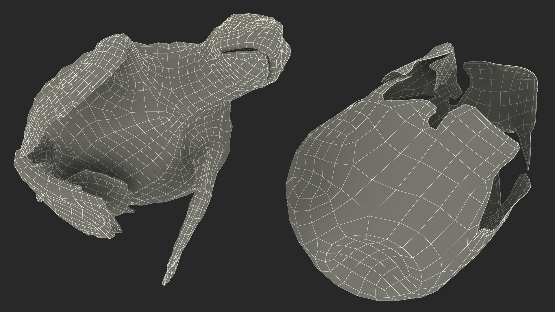 3D Baby Sea Turtle Hatching https://p.turbosquid.com/ts-thumb/bS/P1gEUG/Yp/babyseaturtlehatchingvray3dmodel033/jpg/1709922891/1920x1080/fit_q87/4c909d1721558231f14f1509365ae0fa5dd027ff/babyseaturtlehatchingvray3dmodel033.jpg