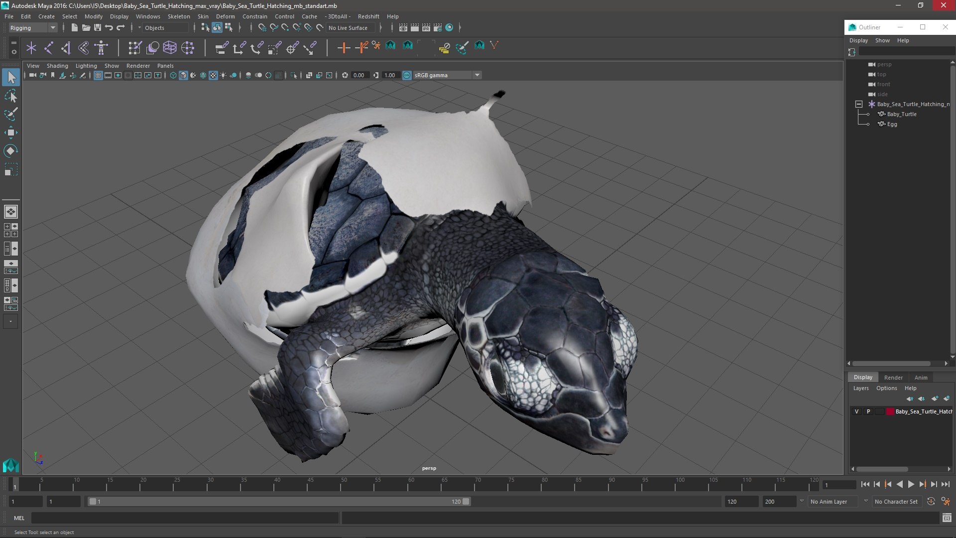 3D Baby Sea Turtle Hatching https://p.turbosquid.com/ts-thumb/bS/P1gEUG/rL/babyseaturtlehatchingvray3dmodel027/jpg/1709922865/1920x1080/fit_q87/02acabdb97cef8a55f2bac1a1031f97bdb116773/babyseaturtlehatchingvray3dmodel027.jpg