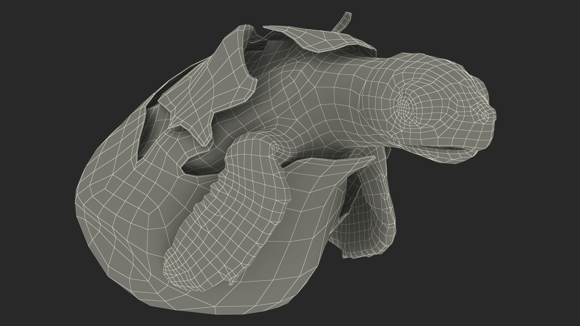 3D Baby Sea Turtle Hatching https://p.turbosquid.com/ts-thumb/bS/P1gEUG/yJ/babyseaturtlehatchingvray3dmodel028/jpg/1709922870/1920x1080/fit_q87/122da32e31e90f44e24850aa3587a0574af282fa/babyseaturtlehatchingvray3dmodel028.jpg