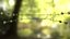 Appareil dentaire transparent auto-ligaturant V03