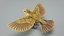 Canari