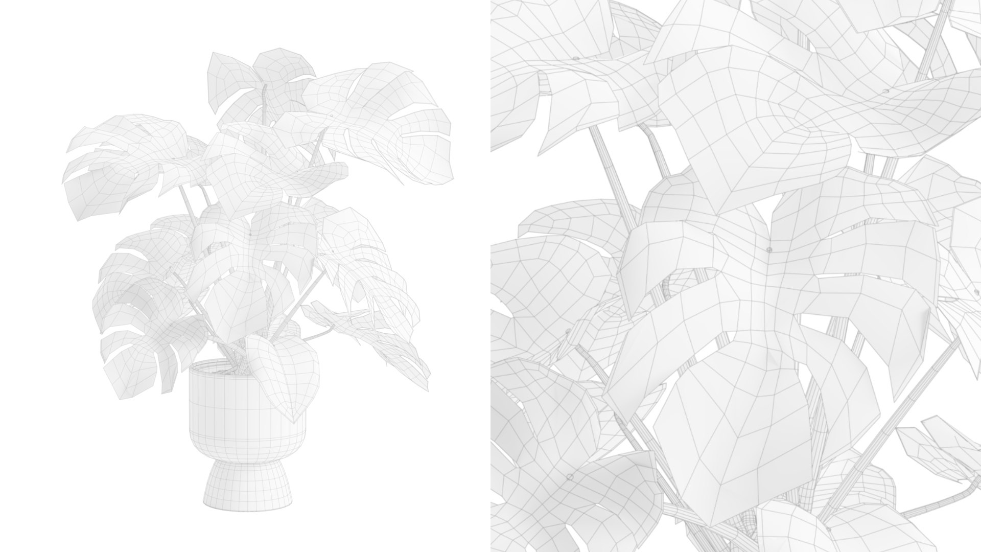 3D Swisscheese Monstera Plant model https://p.turbosquid.com/ts-thumb/bS/WhOK37/qc/previewts01wire_0000/jpg/1775091954/1920x1080/fit_q87/a2d2dd3532d93eb14500fec5920fa532f8a02d92/previewts01wire_0000.jpg