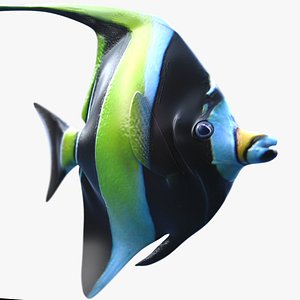 tropical fish 3d model