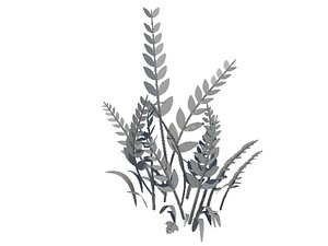 plant2