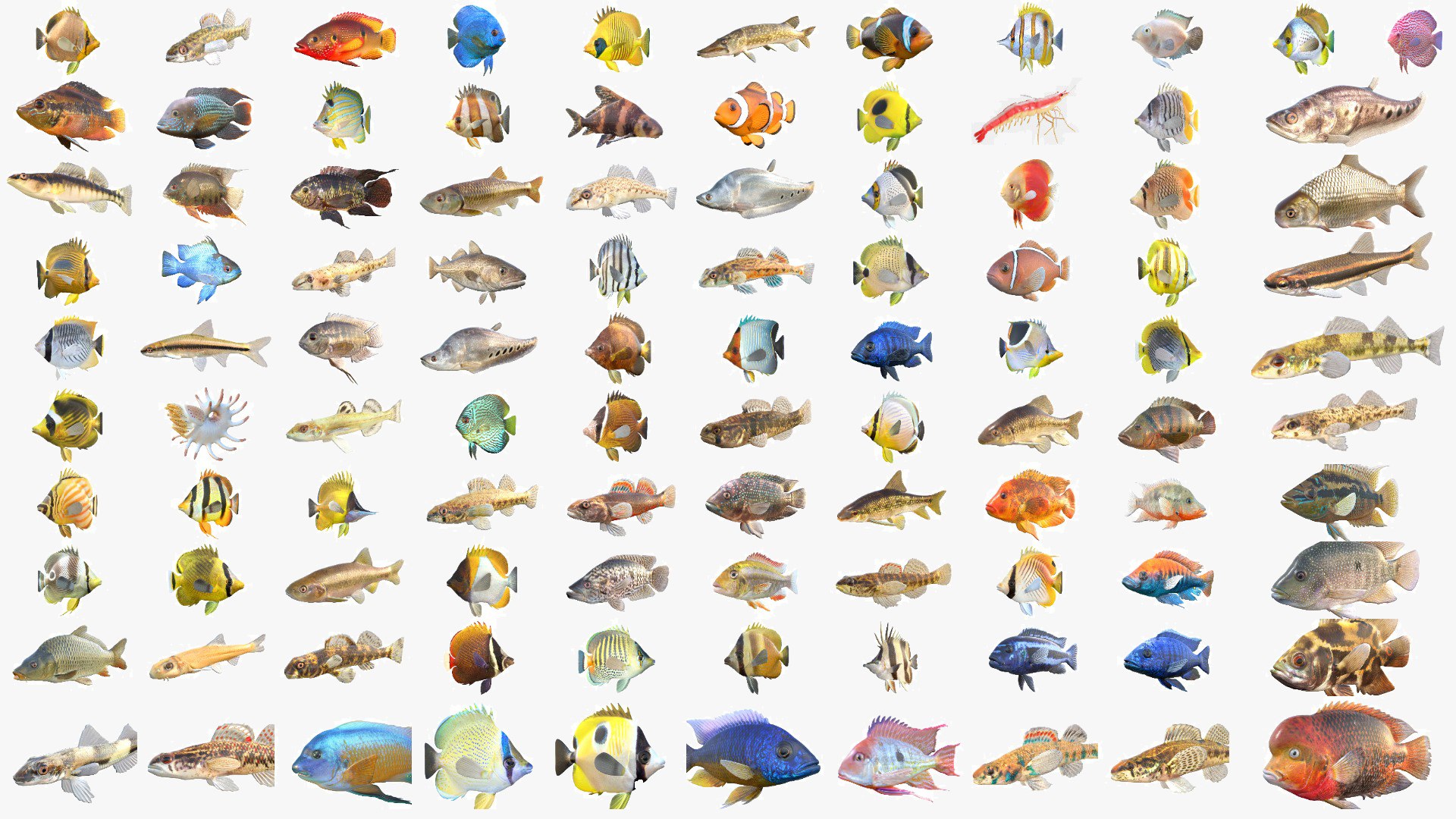 400 Fish Sea Creatures Mega Collection 3D model https://p.turbosquid.com/ts-thumb/bT/3V2KEF/aA/100v3cgt/jpg/1776665097/1920x1080/fit_q87/f56a0df6caf53898d126a2cd8accb5f893be3afa/100v3cgt.jpg