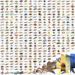 400 Fish Sea Creatures Mega Collection 3D model