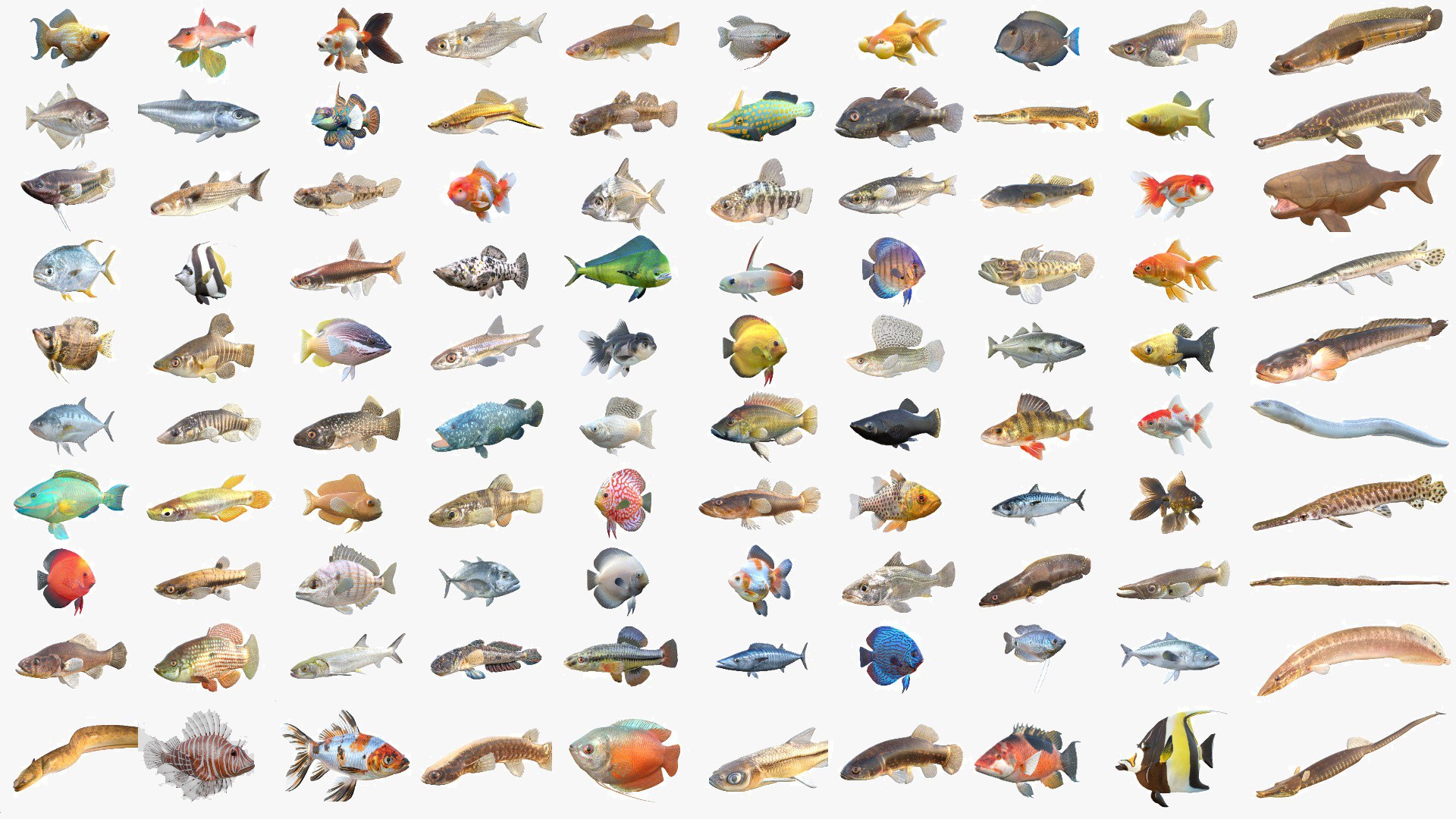 400 Fish Sea Creatures Mega Collection 3D model https://p.turbosquid.com/ts-thumb/bT/3V2KEF/zv/100v4cgt/jpg/1776665095/1920x1080/fit_q87/ad56c457d41e45bf81813c74e133db8a4e610f4f/100v4cgt.jpg