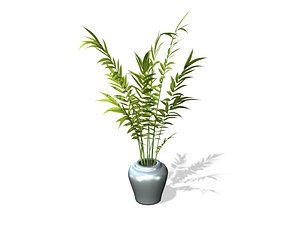 Areca Palm Plant 3D