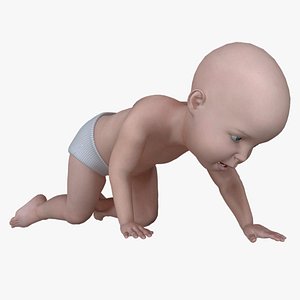 Baby Crawling Animation Rigged