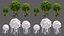 Dessin animé d'arbres V28