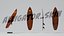 Shortboard Surfboard 3D model with 6 Custom Designs Included 3D model