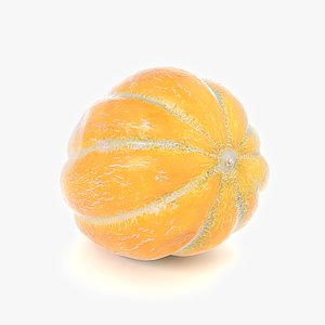 melon food fruit 3D model