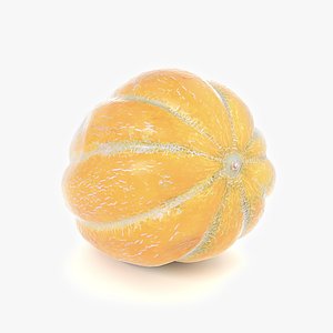 Melon