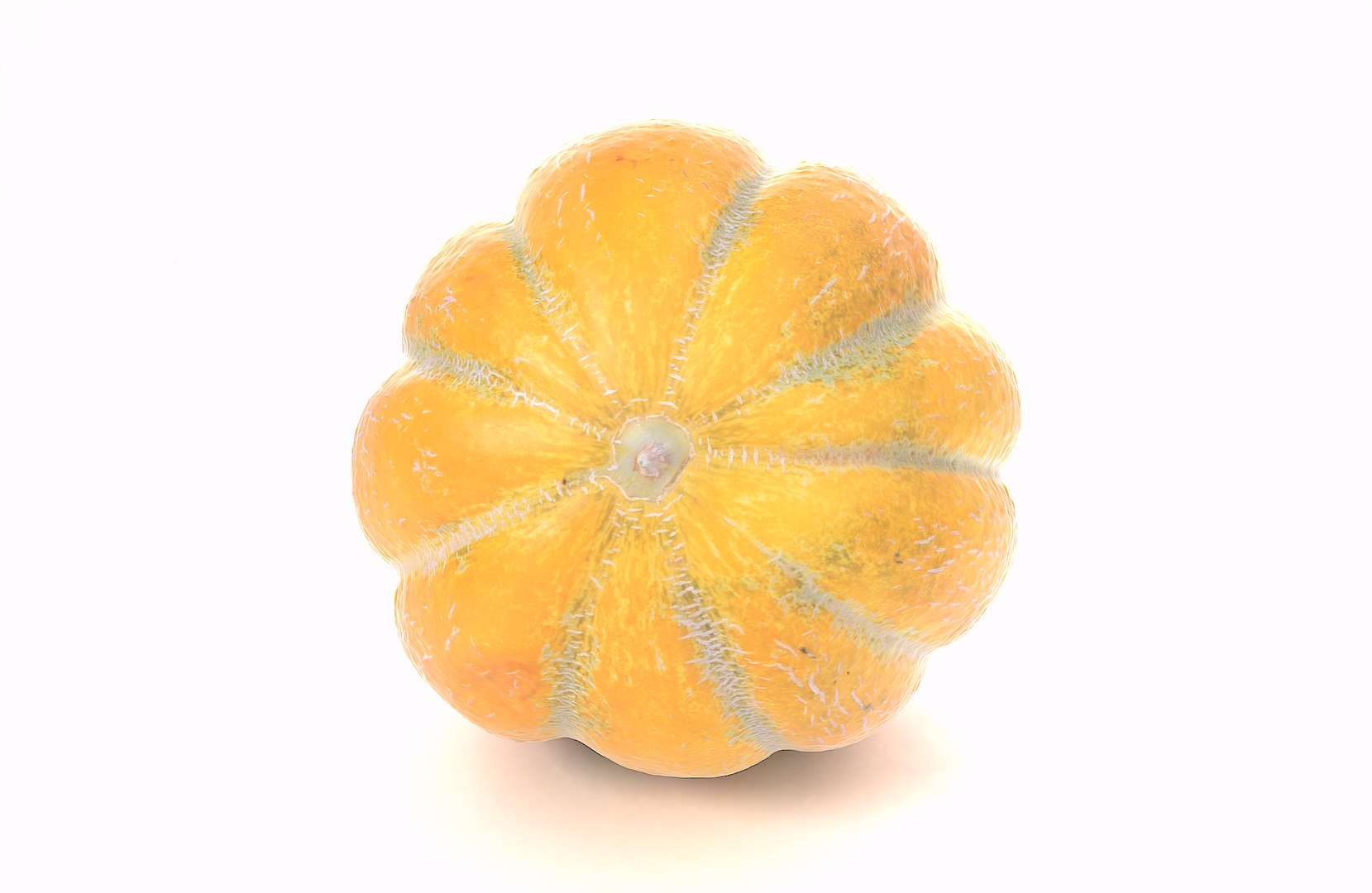 melon food fruit 3D model https://p.turbosquid.com/ts-thumb/bT/LY4LY9/vqnbYIxa/melon_49/png/1596822129/1920x1080/fit_q87/b7f64854dec5a862c2329180d65d885e2387ef41/melon_49.jpg