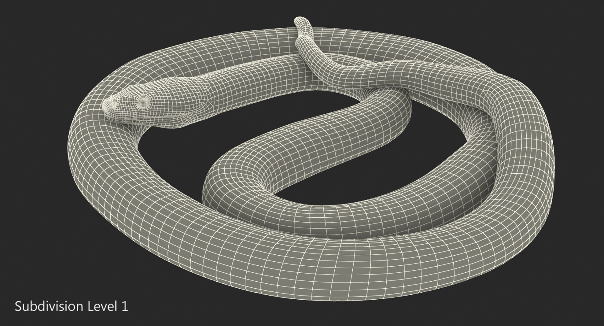 yellow python snake curled model https://p.turbosquid.com/ts-thumb/bT/QVWNhG/0UkeBTs9/yellowpythonsnakecurledposemb3dmodel014/jpg/1559298339/1920x1080/fit_q87/2cdc6b482b12883551c243bfd179abc022c0377c/yellowpythonsnakecurledposemb3dmodel014.jpg