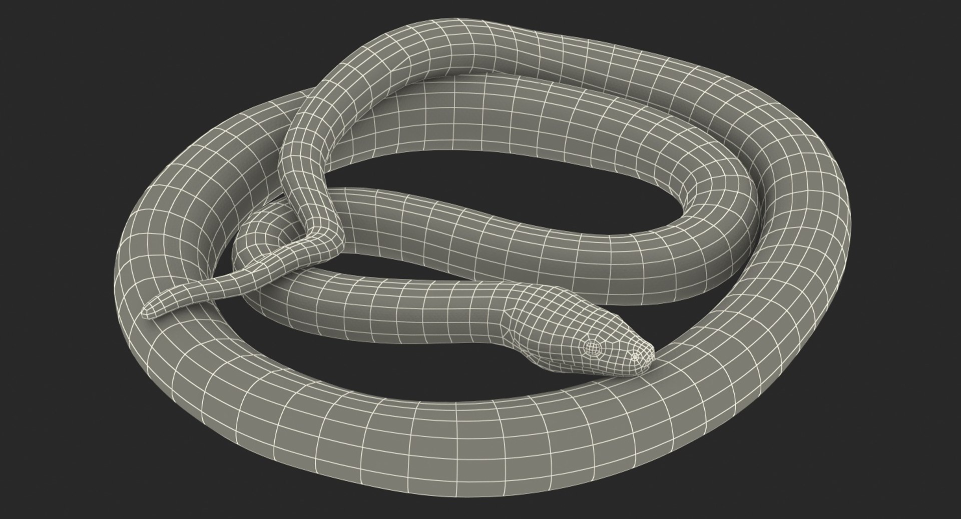 yellow python snake curled model https://p.turbosquid.com/ts-thumb/bT/QVWNhG/KxB21g2A/yellowpythonsnakecurledposemb3dmodel020/jpg/1559298378/1920x1080/fit_q87/eae0df658fc5b75e5b08e559c90aba5c19b39f14/yellowpythonsnakecurledposemb3dmodel020.jpg