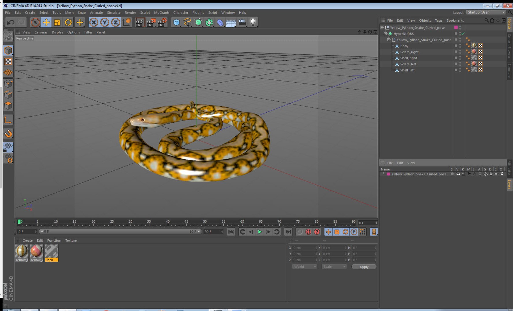 yellow python snake curled model https://p.turbosquid.com/ts-thumb/bT/QVWNhG/bQKMc6lL/yellowpythonsnakecurledposemb3dmodel018/jpg/1559298371/1920x1080/fit_q87/81985d475f05883c817cdda15ec8b13eccbda417/yellowpythonsnakecurledposemb3dmodel018.jpg