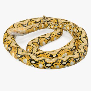 yellow python snake curled model