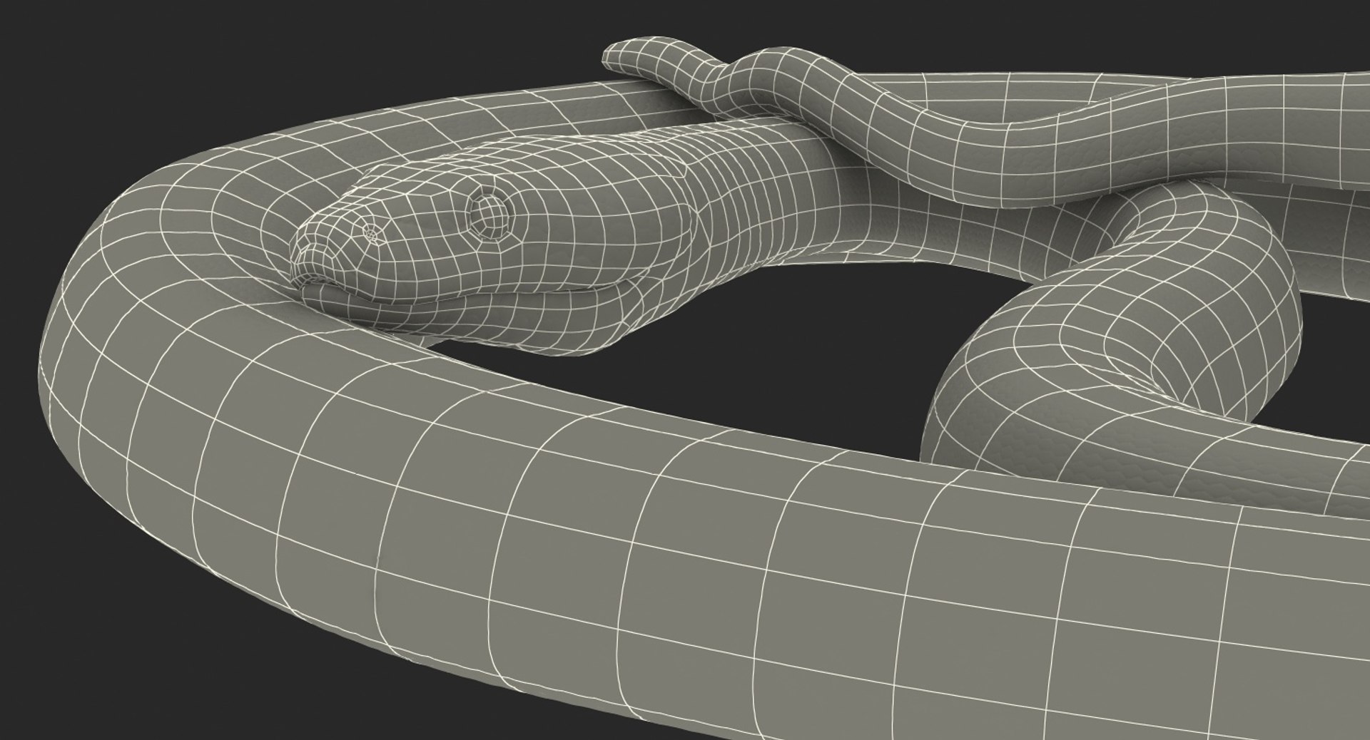 yellow python snake curled model https://p.turbosquid.com/ts-thumb/bT/QVWNhG/ne88ywiu/yellowpythonsnakecurledposemb3dmodel021/jpg/1559298381/1920x1080/fit_q87/875477ca92f830f934a8571319401d87078c1e1b/yellowpythonsnakecurledposemb3dmodel021.jpg