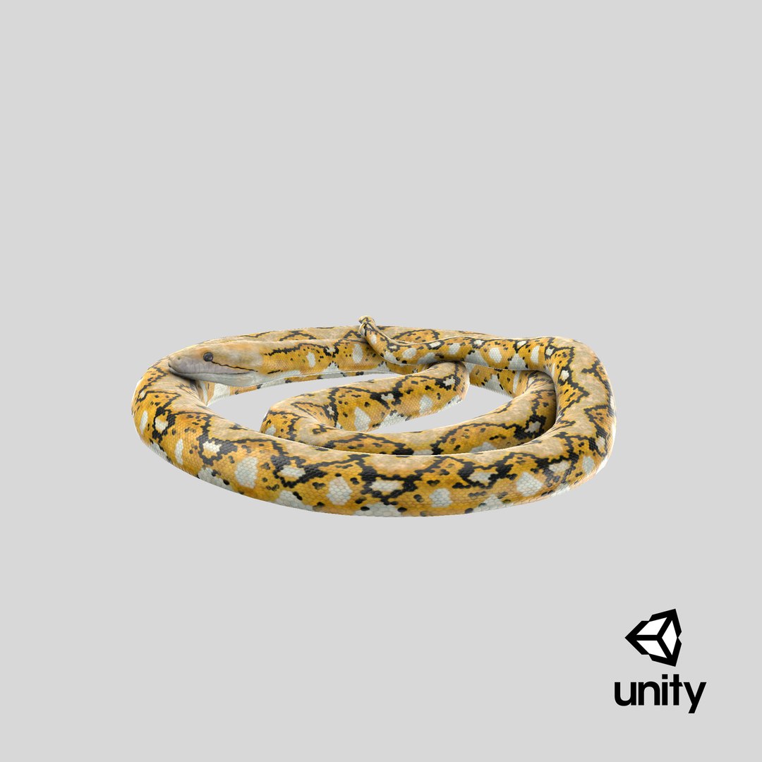 yellow python snake curled model https://p.turbosquid.com/ts-thumb/bT/QVWNhG/r0yesTeS/stemcell_unity_render/png/1597338217/1920x1080/fit_q87/4deeb729e3aa5da50b17575067efa8f31234678d/stemcell_unity_render.jpg