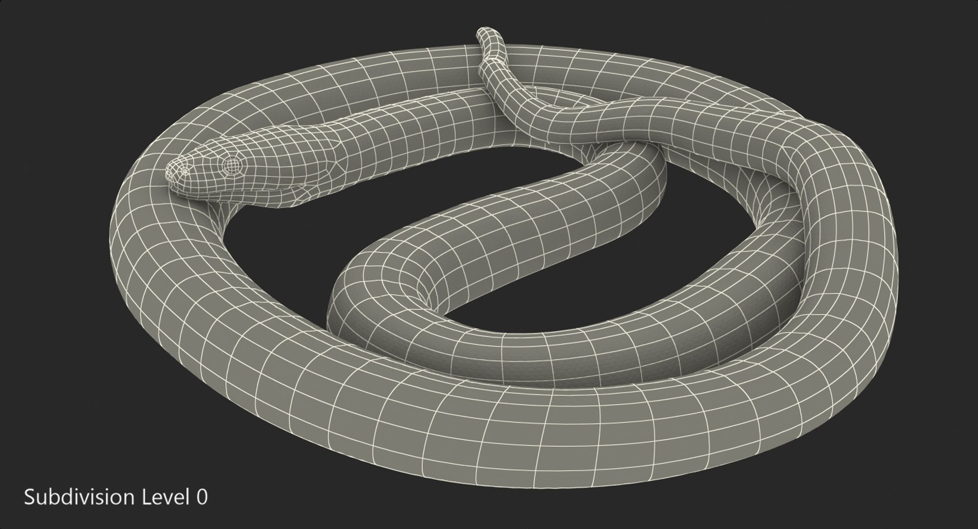 yellow python snake curled model https://p.turbosquid.com/ts-thumb/bT/QVWNhG/ujkVaT6S/yellowpythonsnakecurledposemb3dmodel013/jpg/1559298336/1920x1080/fit_q87/ad925d5c8a7d92df7e53675a3ce5aceb0eda1384/yellowpythonsnakecurledposemb3dmodel013.jpg