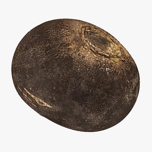 turnip black 02 raw 3D model