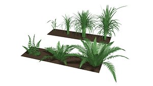 Herbage Various Set - 2