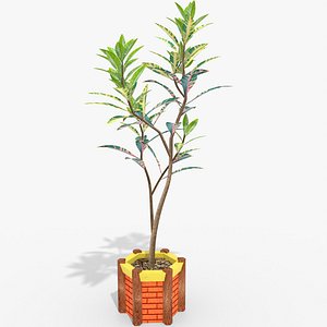 Ornamental Plant 4