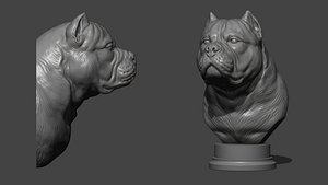 American bully bust  model