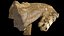 ancient ruins horse head debris part6 photogrammetry