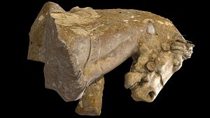 ancient ruins horse head debris part6 photogrammetry