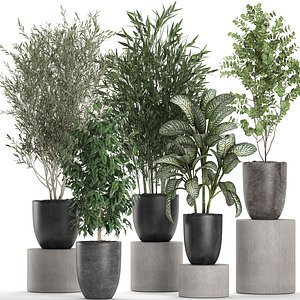 3D plants black pots