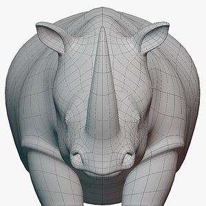 Rhinoceros Base Mesh