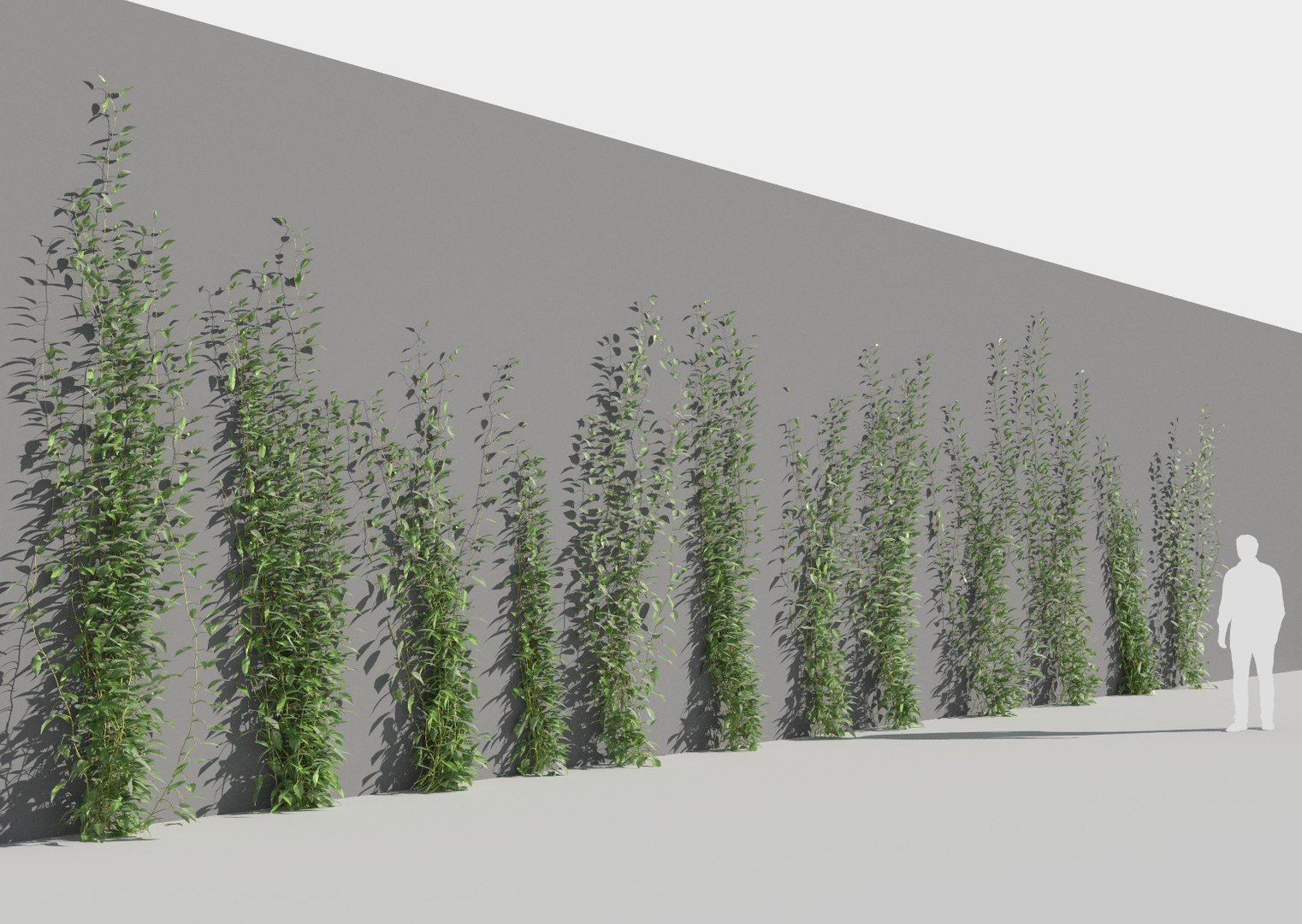 creeper plants 3D model https://p.turbosquid.com/ts-thumb/bT/yATmaf/395UiOa7/creeperz18/jpg/1574519351/1920x1080/fit_q87/b0325e480b9f7e99bc31b8ff3a992887ca6482a5/creeperz18.jpg