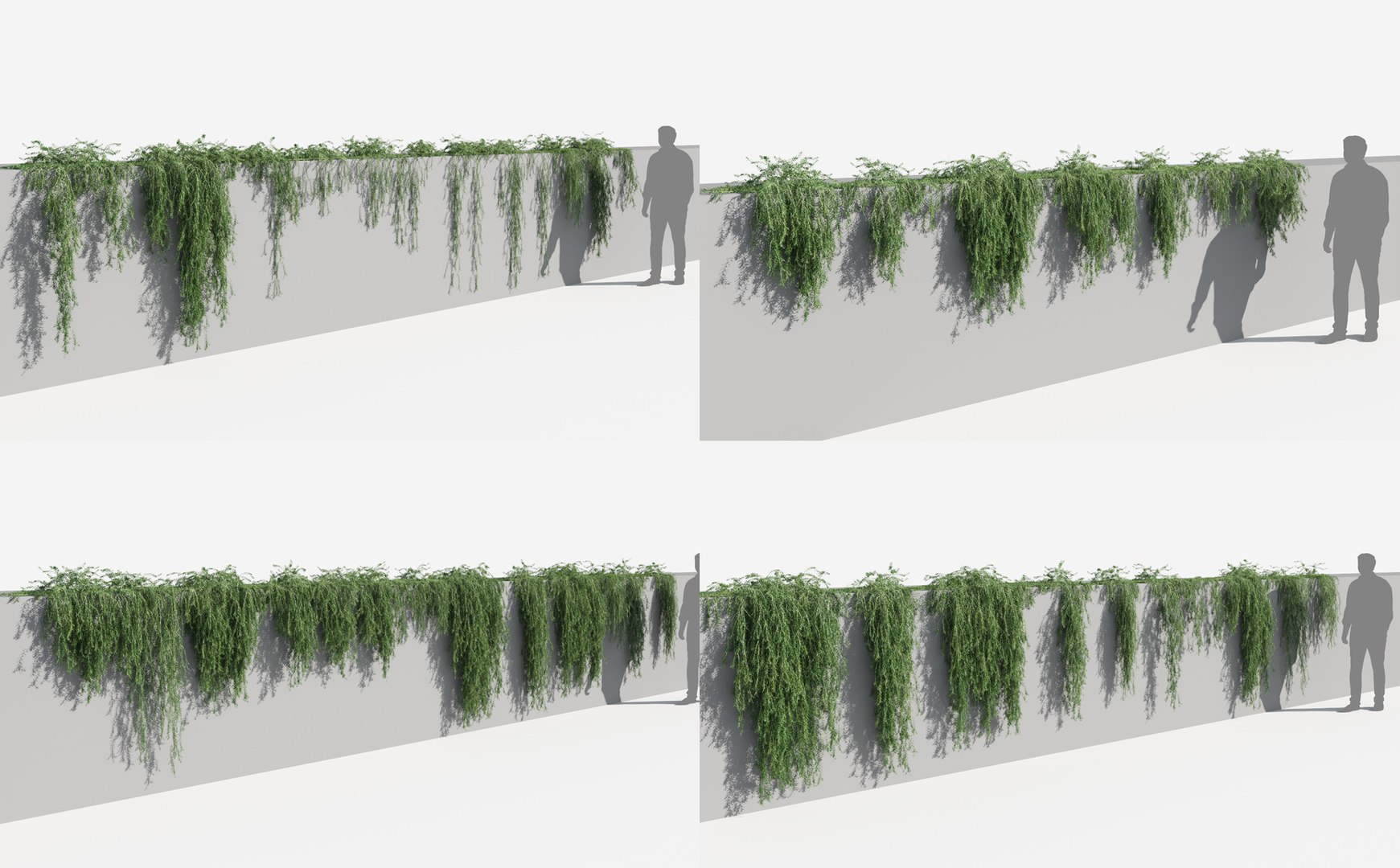 creeper plants 3D model https://p.turbosquid.com/ts-thumb/bT/yATmaf/3cjfjAux/creeperz7/jpg/1574519310/1920x1080/fit_q87/08278c53aa8568c9d83c359507a7d3db2159837f/creeperz7.jpg