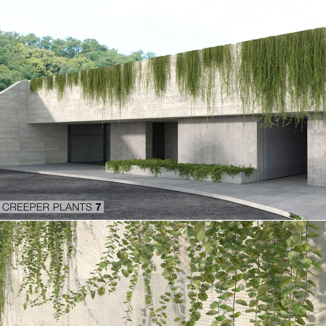 creeper plants 3D model https://p.turbosquid.com/ts-thumb/bT/yATmaf/4MnAVcti/creeper_plants_7/jpg/1574518121/1920x1080/fit_q87/296db5df209a14cdf6c3bc2a7b2486adb6e41d19/creeper_plants_7.jpg