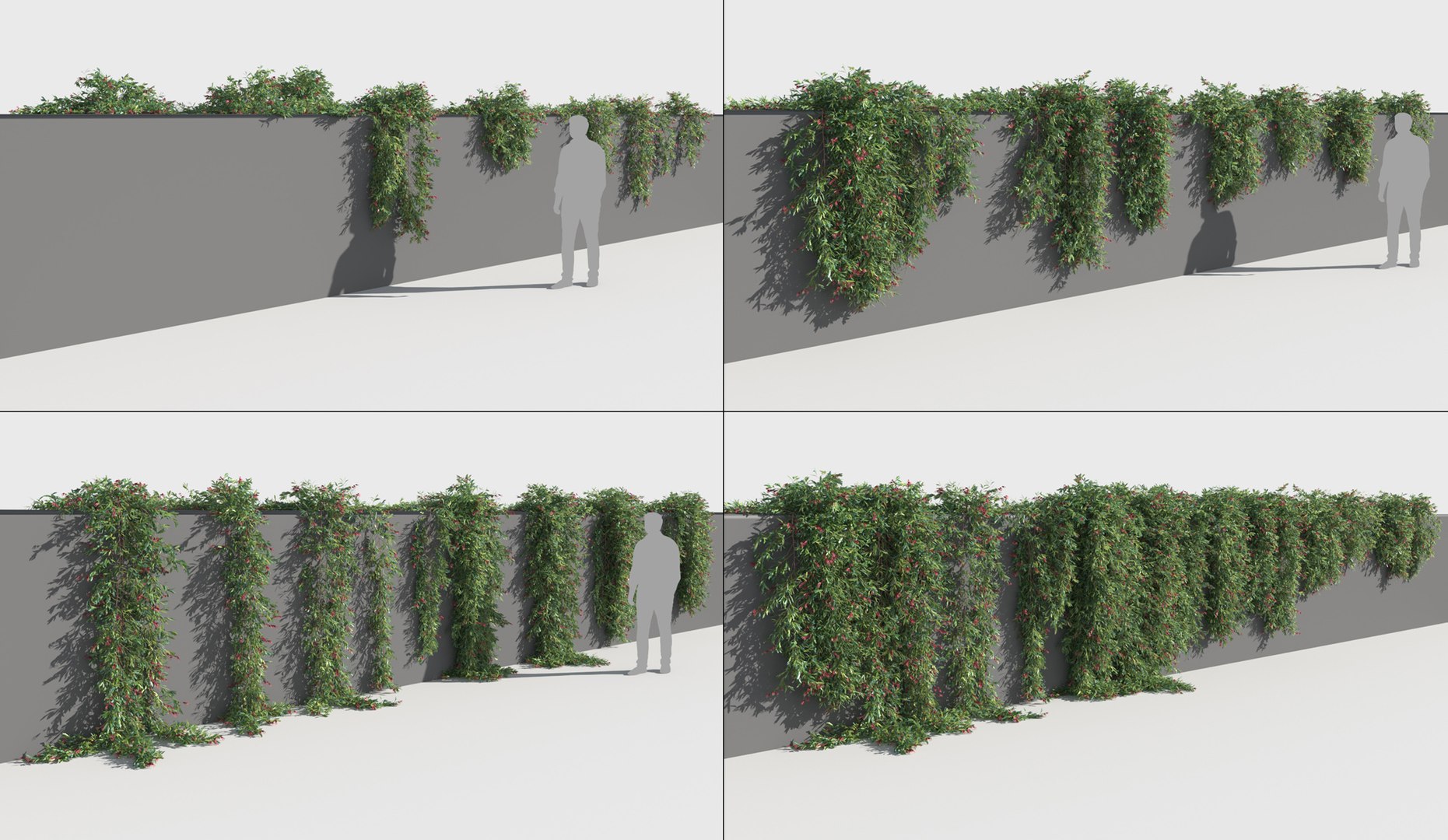 creeper plants 3D model https://p.turbosquid.com/ts-thumb/bT/yATmaf/EGUPeTHm/creeperz11/jpg/1574519331/1920x1080/fit_q87/c97abf35b5bf1d3ad663f74d8a736d3ed99a4c03/creeperz11.jpg