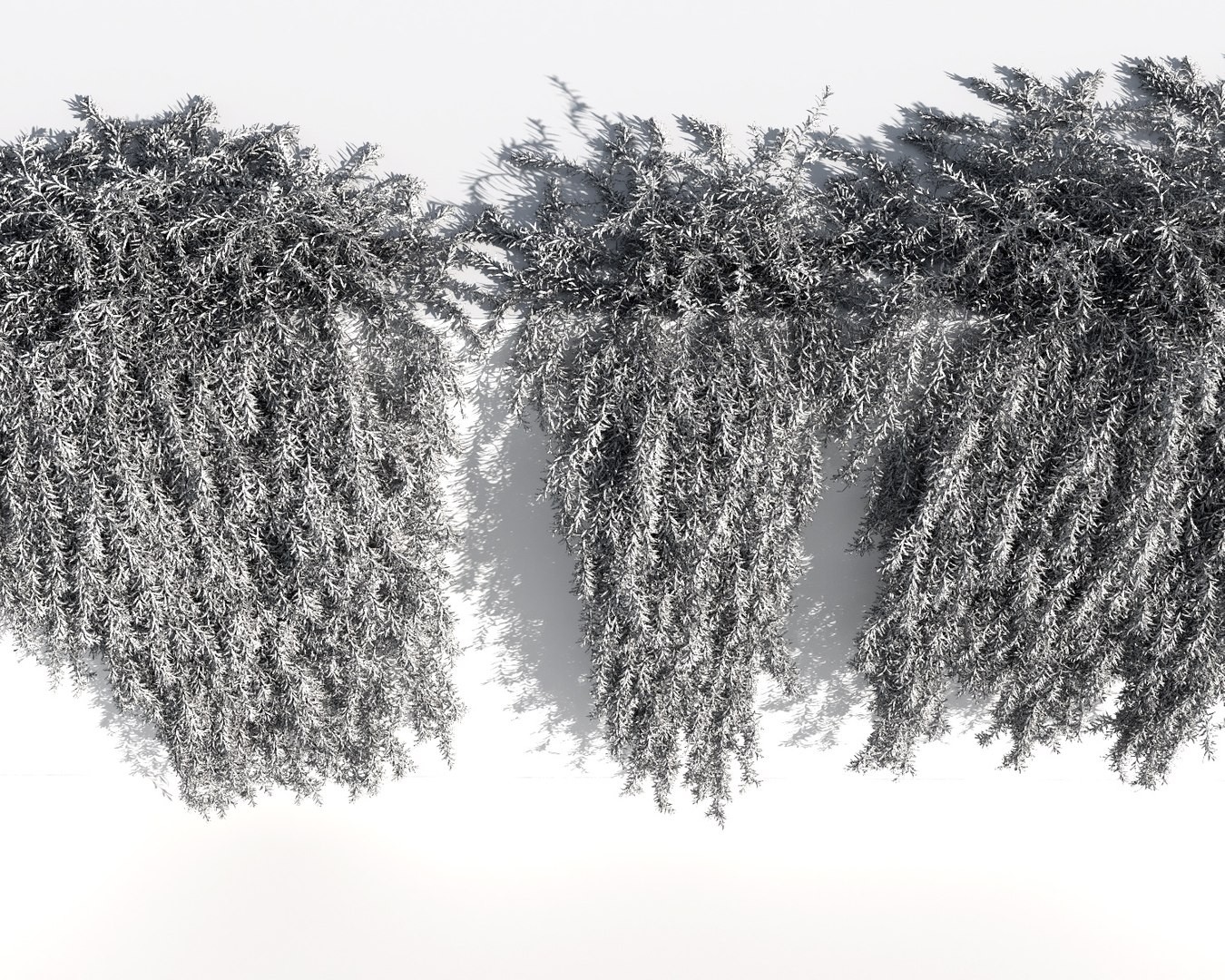creeper plants 3D model https://p.turbosquid.com/ts-thumb/bT/yATmaf/GqlKNRRE/wire5/jpg/1574519513/1920x1080/fit_q87/84df8f42425d6fd343637875baa85e05c8f046b0/wire5.jpg