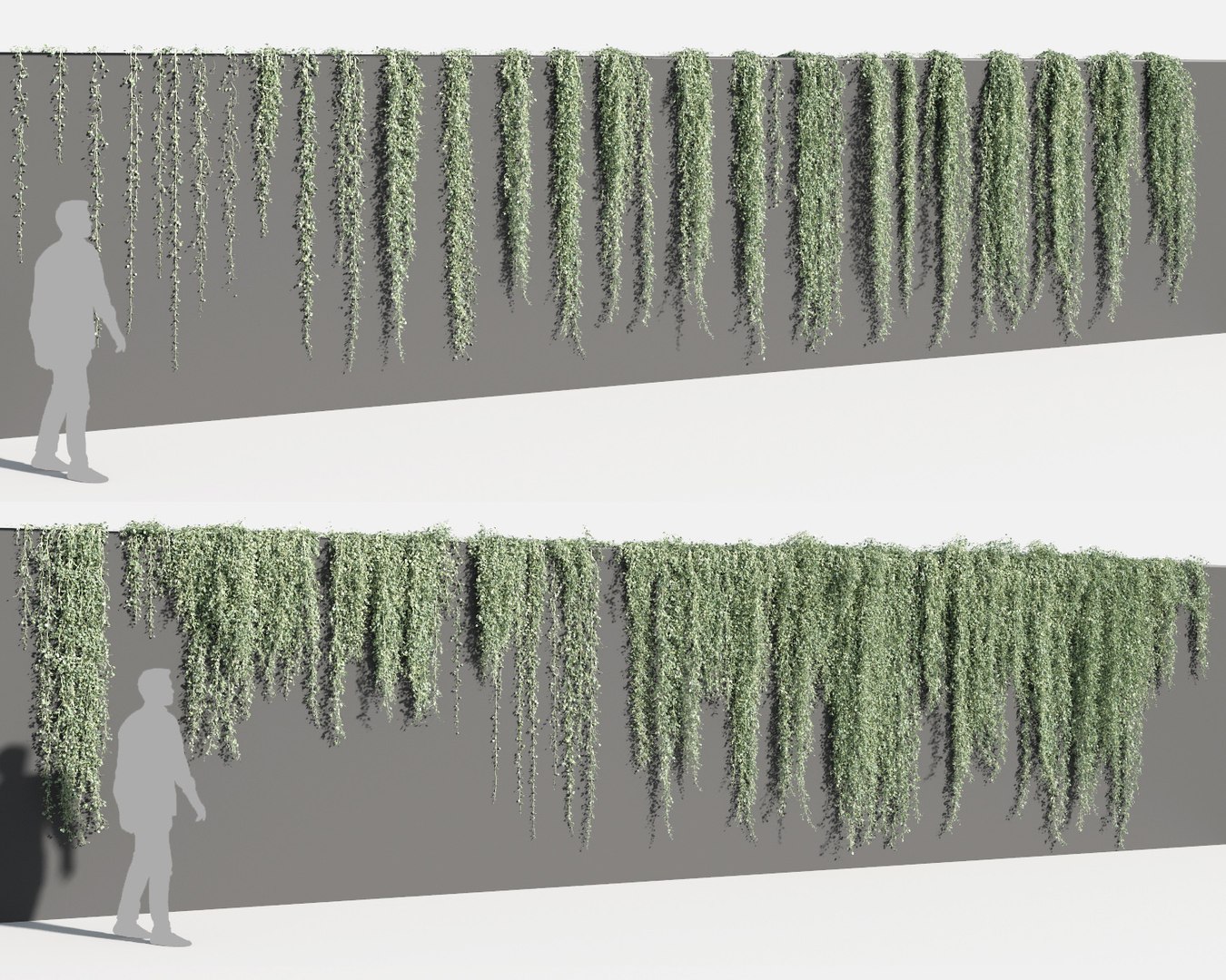 creeper plants 3D model https://p.turbosquid.com/ts-thumb/bT/yATmaf/Ilnoc6NC/creeperz4/jpg/1574519298/1920x1080/fit_q87/822d5bfec4aedc9246e3f7d0e3896dd270b6d56d/creeperz4.jpg
