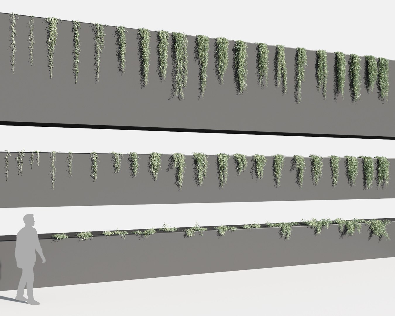creeper plants 3D model https://p.turbosquid.com/ts-thumb/bT/yATmaf/Ne5xayfH/creeperz3/jpg/1574519298/1920x1080/fit_q87/47a9866d9fd0f7bd641529d3231d2e353ca92892/creeperz3.jpg