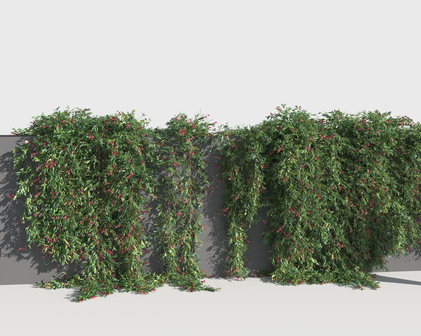 creeper plants 3D model https://p.turbosquid.com/ts-thumb/bT/yATmaf/RkDHxZ3a/creeperz12/jpg/1574519331/1920x1080/fit_q87/30d9b666100880abb40189e49075c5c126b0912f/creeperz12.jpg