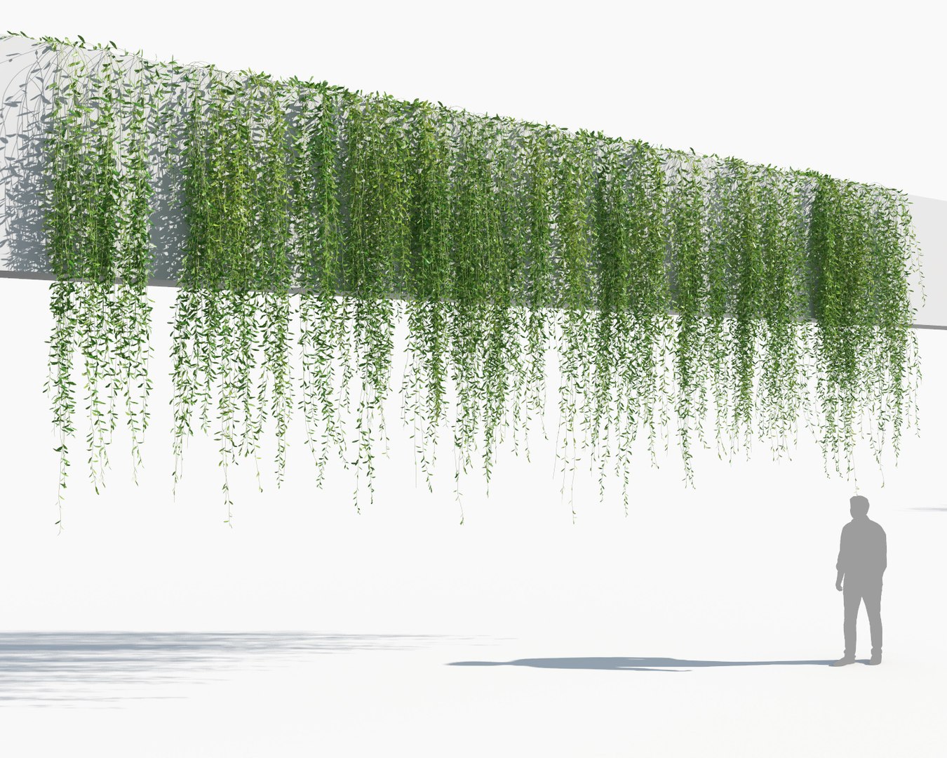 creeper plants 3D model https://p.turbosquid.com/ts-thumb/bT/yATmaf/YsBqdKXr/creeperz2/jpg/1574519298/1920x1080/fit_q87/b7710cdbe7556e9493b3869df6dd597059beaa43/creeperz2.jpg