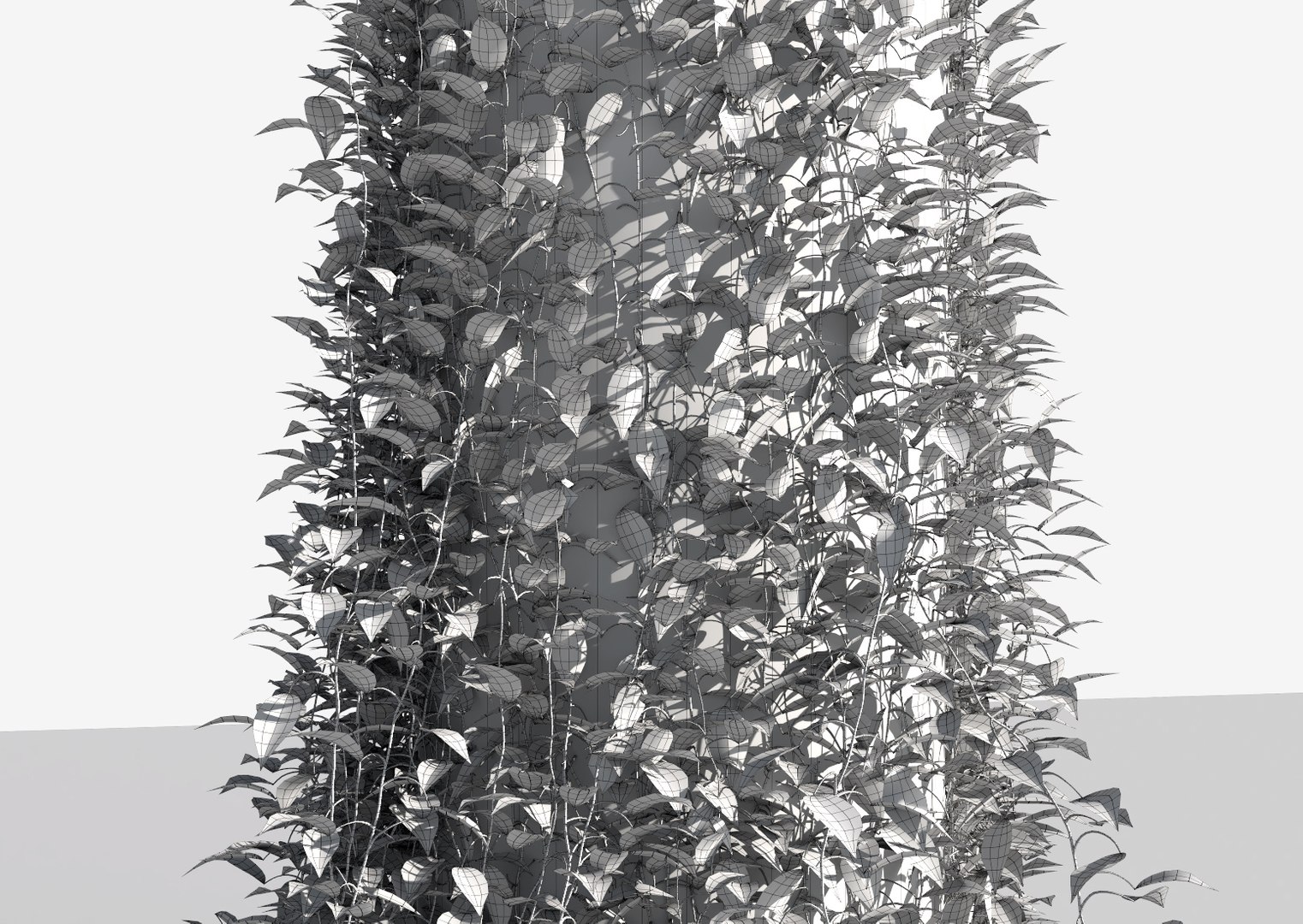 creeper plants 3D model https://p.turbosquid.com/ts-thumb/bT/yATmaf/dDT1FG5e/wire7/jpg/1574519522/1920x1080/fit_q87/8099bc0ce4dc90ff42089027e96390271dc4238e/wire7.jpg
