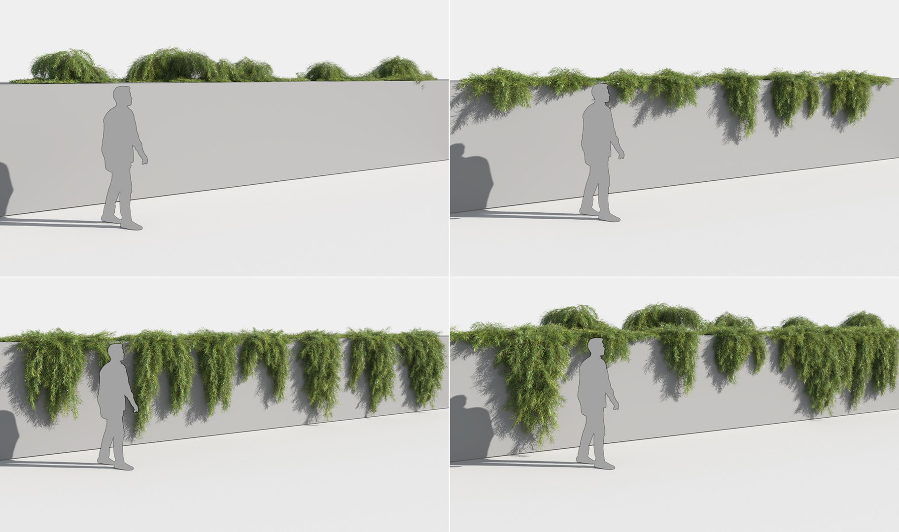 creeper plants 3D model https://p.turbosquid.com/ts-thumb/bT/yATmaf/iaXt2anq/creeperz5/jpg/1574519310/1920x1080/fit_q87/5b3adefeefa2a0393aa18d5aec5c4e755a77aee4/creeperz5.jpg
