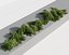 creeper plants 3D model