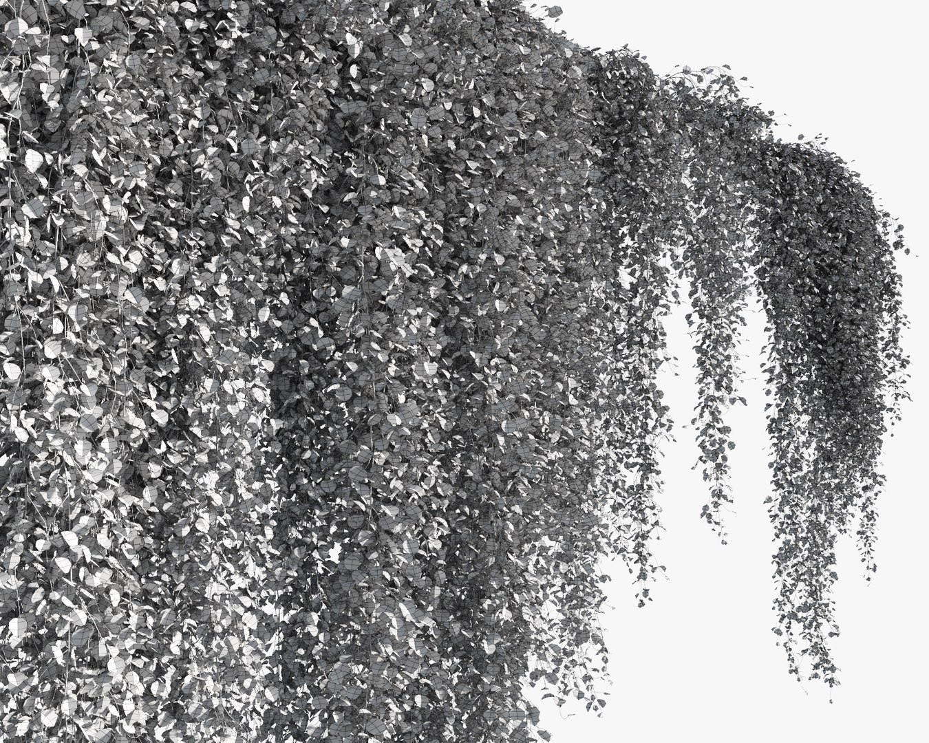 creeper plants 3D model https://p.turbosquid.com/ts-thumb/bT/yATmaf/jQbbQJCU/wire2/jpg/1574519503/1920x1080/fit_q87/42c237e571b723aa6cce808288f8ced5a13e3409/wire2.jpg