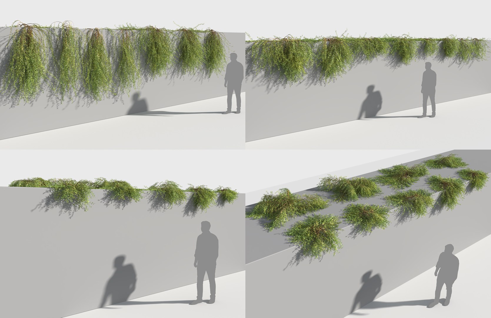 creeper plants 3D model https://p.turbosquid.com/ts-thumb/bT/yATmaf/jwlOebHt/creeperz19/jpg/1574519351/1920x1080/fit_q87/f2107256ca6d47a5d2d5d216e737e1c2443a62e3/creeperz19.jpg