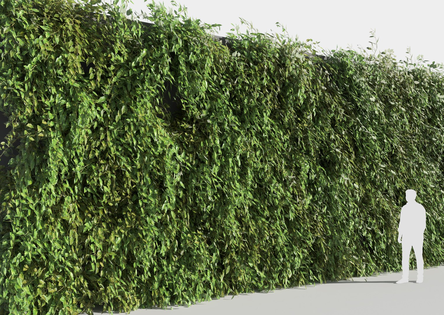 creeper plants 3D model https://p.turbosquid.com/ts-thumb/bT/yATmaf/wNoBxVnr/creeperz16/jpg/1574519346/1920x1080/fit_q87/6b6a6f204ca0d9bc76879441cead111a1dc2b816/creeperz16.jpg