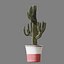 Set of Three Cactuses Carnegiea